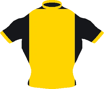 ’93 · Sunflower cycling jersey design